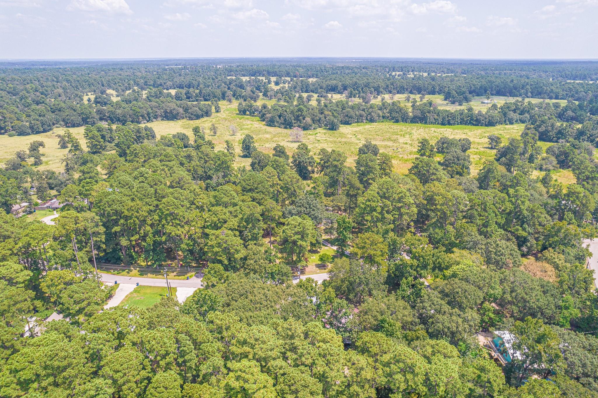 10015 Pine Point Drive