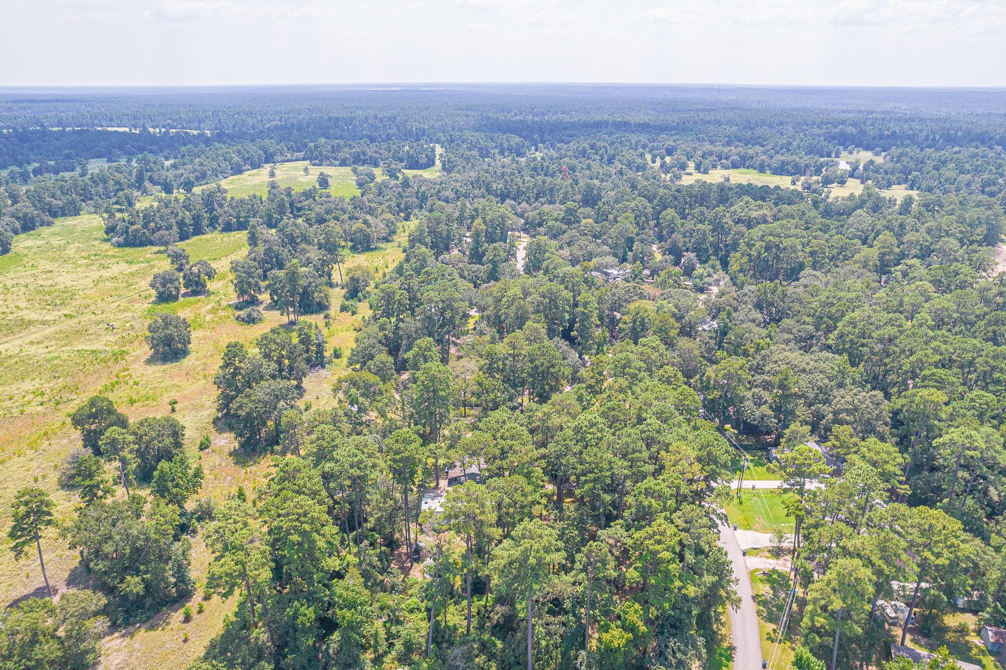 10015 Pine Point Drive