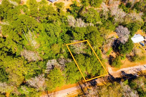 Vacant Land For Sale - LOT 26 Buckingham Drive<br/> Tyler County, Ivanhoe, TX 75979