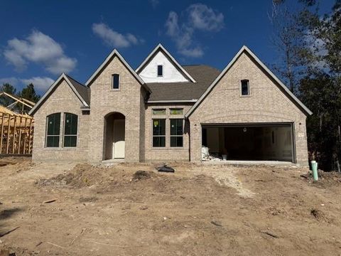 Photo of 1724 Howler Way, Todd Mission, TX 77316 (MLS # 84210393)