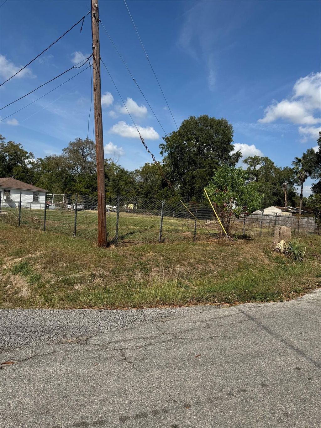 Photo of 8157 Lynette Street, Houston, TX 77028 (MLS # 20053796)