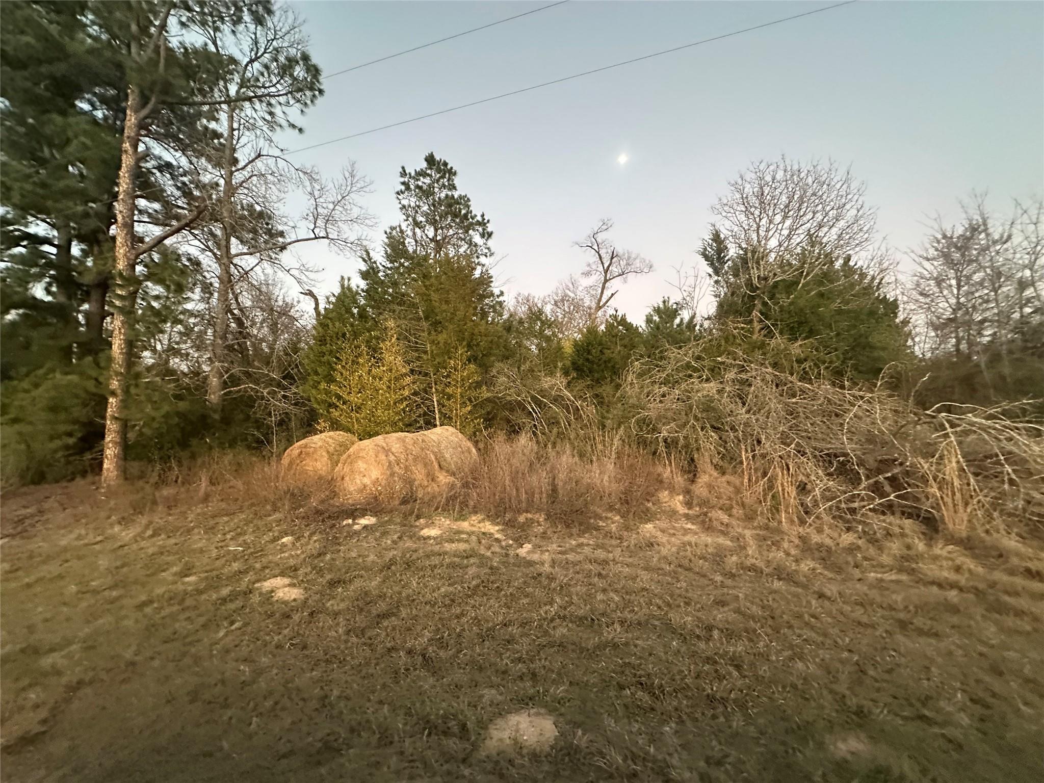 3AC County Road 443
