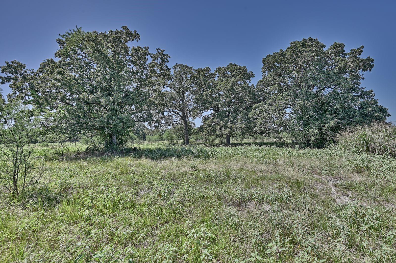 6823 Fawn Oaks Ridge
