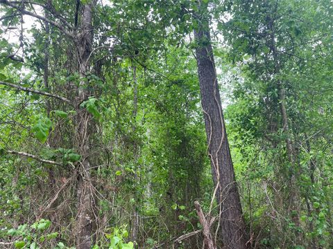 Photo of 0 Cemetery Road, Ames, TX 77575 (MLS # 10909091)