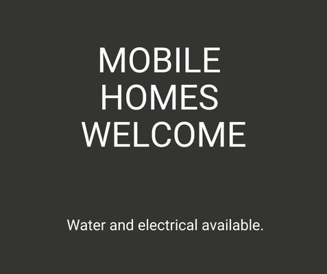 175 LAKEVIEW DR, SHEPHERD, TX 77371 - Image 1e59167fa79ea5e146ed93aaa68be5ff/2985160022