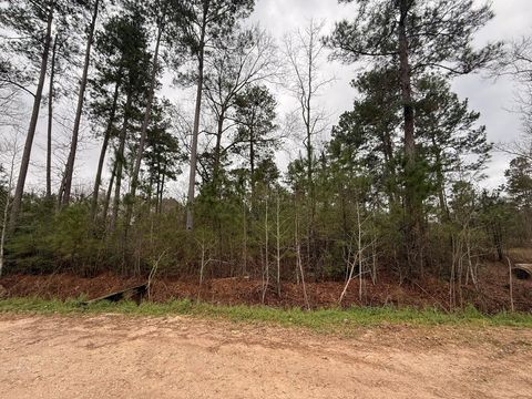 Photo of 0 Shaffer Road, Cleveland, TX 77327 (MLS # 54565122)