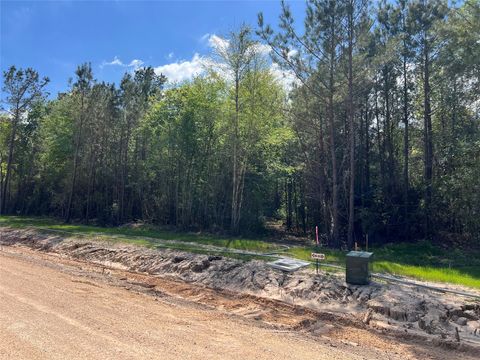 Photo of TBD Ellwood Dr, Livingston, TX 77351 (MLS # 55823312)