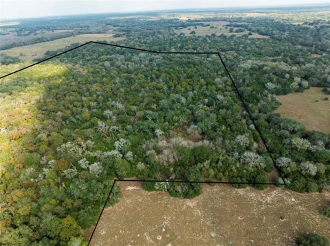 Photo of TBD County Road 12, Hallettsville, TX 77964 (MLS # 56519013)