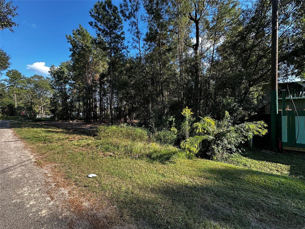 Photo of 27086 Royal Coach Ln, New Caney, TX 77357 (MLS # 61459138)