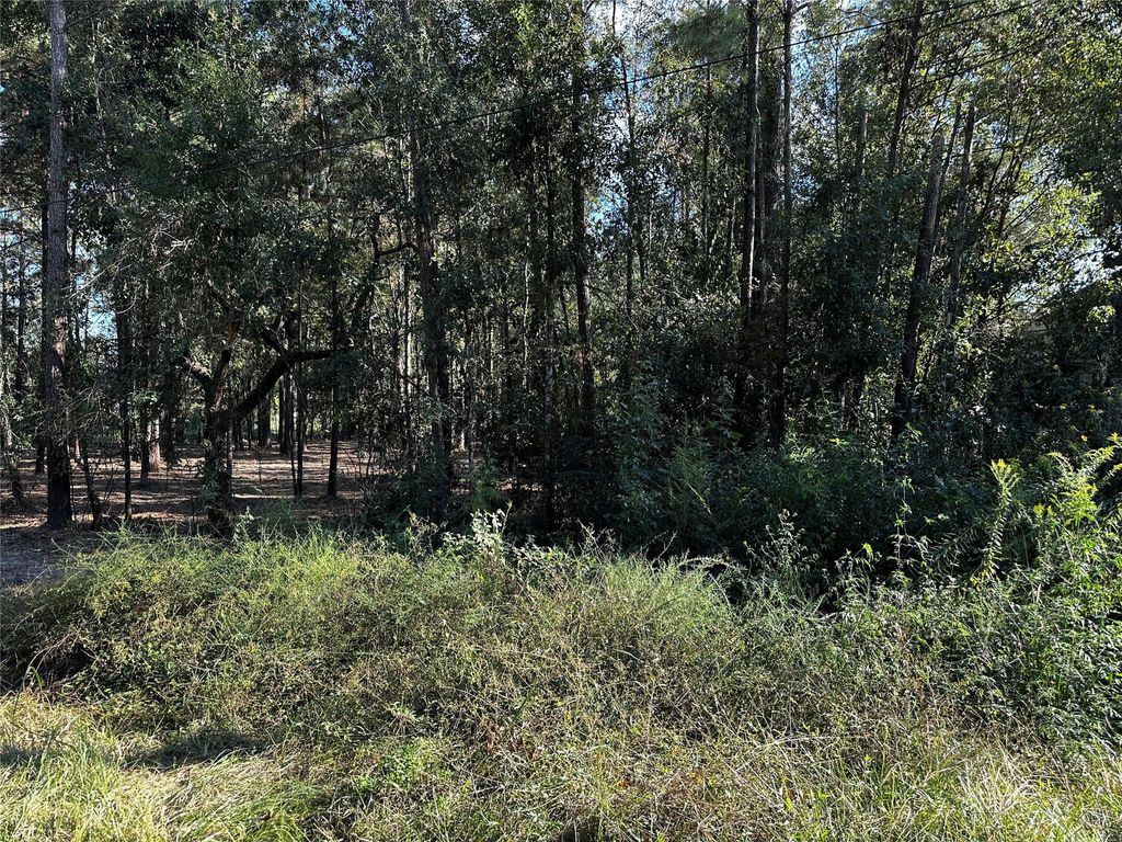 Photo of 27086 Royal Coach Ln, New Caney, TX 77357 (MLS # 61459138)