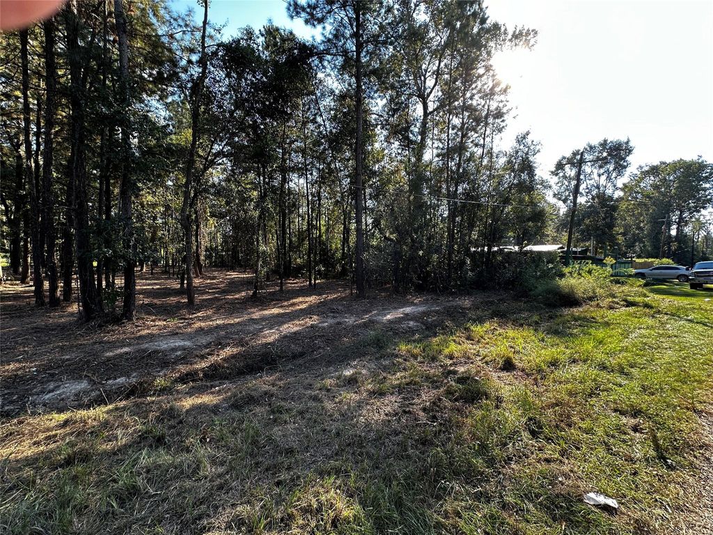 Photo of 27086 Royal Coach Ln, New Caney, TX 77357 (MLS # 61459138)