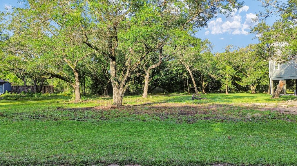 Photo of 6318 Tercero, Brazoria, TX 77422 (MLS # 56710459)