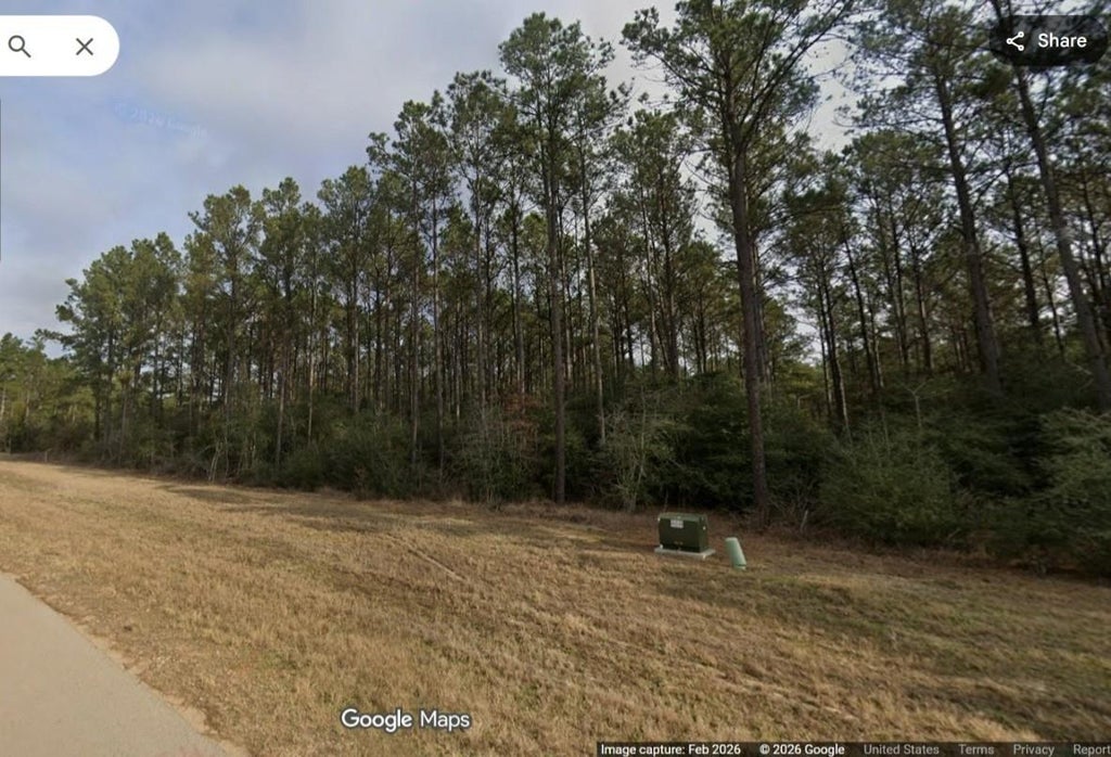 Photo of 15774 Wooded Trail Way, Willis, TX 77378 (MLS # 54621370)