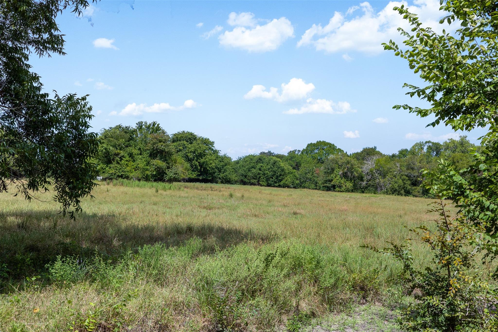 38 +/- Acres Fm 1774