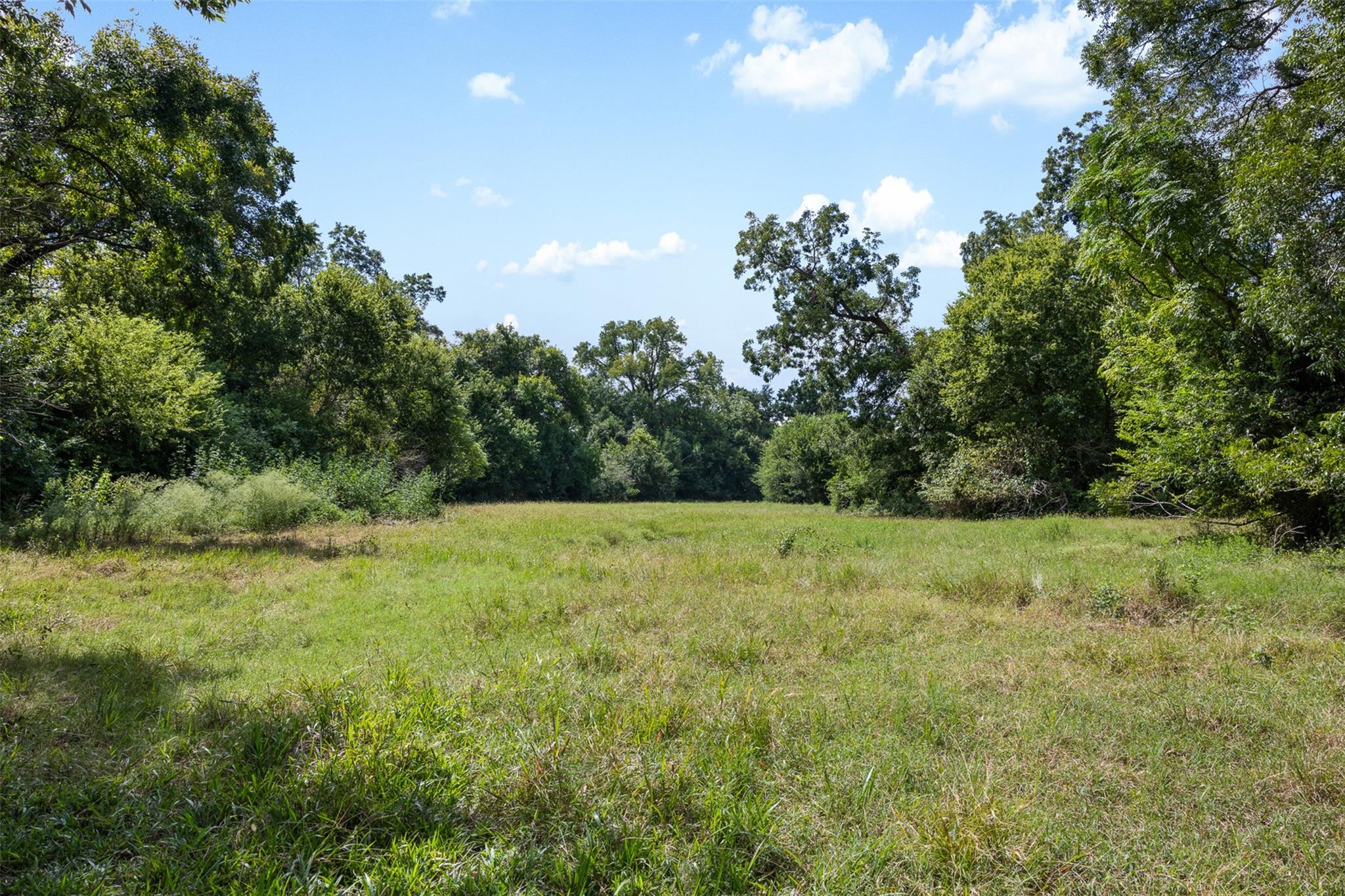 38 +/- Acres Fm 1774