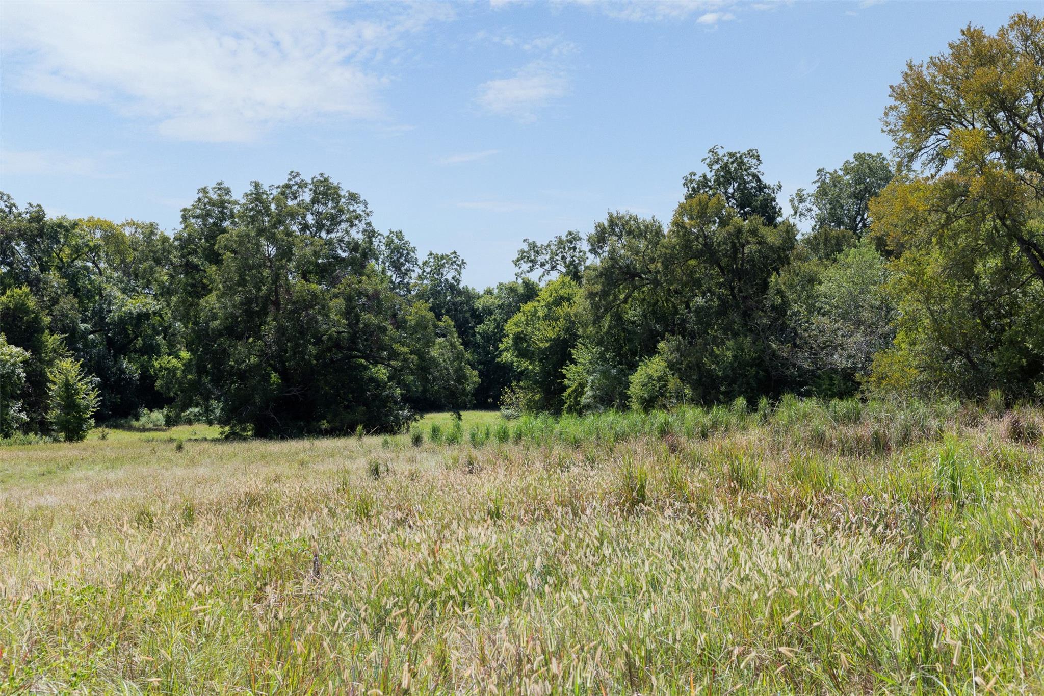 38 +/- Acres Fm 1774