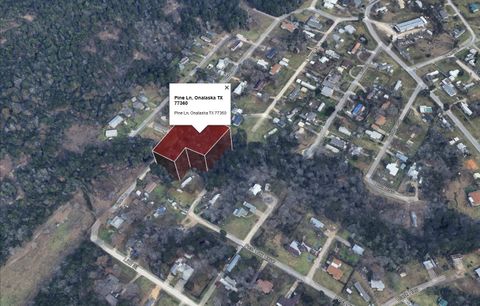 422 Pine Ln Lane Onalaska TX 77360