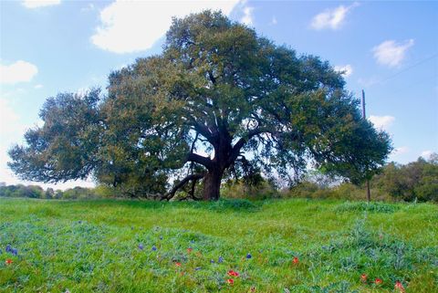 Vacant Land For Sale - 450 County Road 217c<br/> Lavaca County, Schulenburg, TX 78956