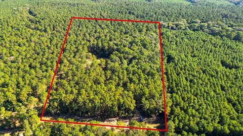 Photo of 609 Gray Road, Coldspring, TX 77331 (MLS # 88032035)