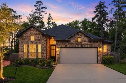 Photo of 251 Garden Rose Trail, Willis, TX 77318 (MLS # 15630306)