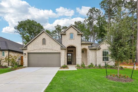 Photo of 22611 Big Stump Drive, Porter, TX 77365 (MLS # 25165382)