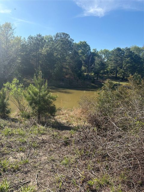 Photo of 26770 Lake Shore Drive, Hempstead, TX 77445 (MLS # 21737524)