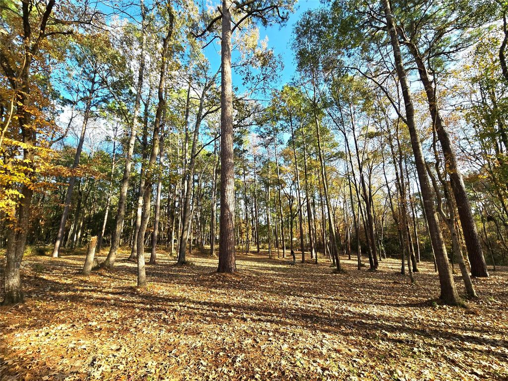 Photo of 351 Dejardo Lane, Coldspring, TX 77331 (MLS # 97907808)