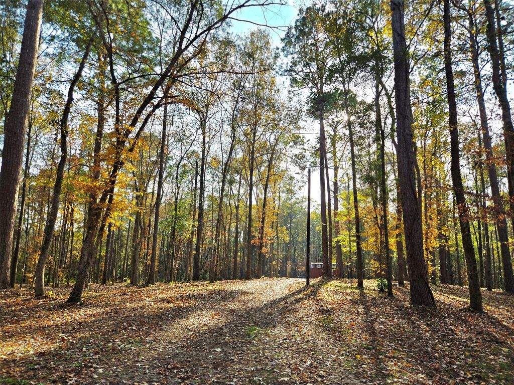 Photo of 351 Dejardo Lane, Coldspring, TX 77331 (MLS # 97907808)