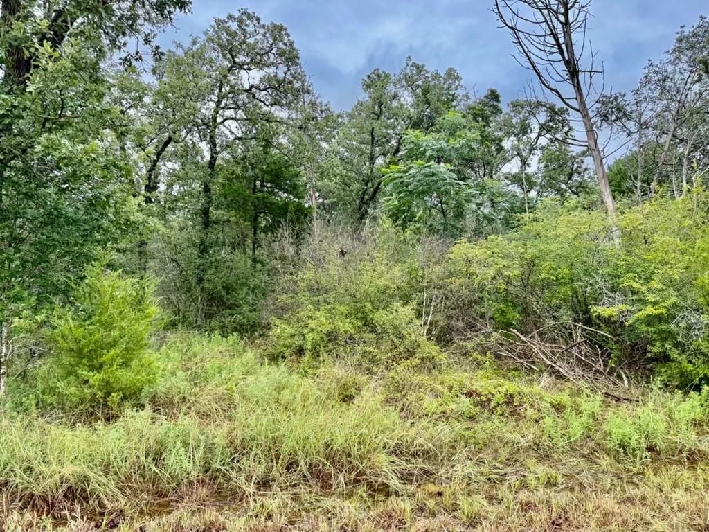 Photo of 195 Sadie Lane, Round Top, TX 78954 (MLS # 30061396)