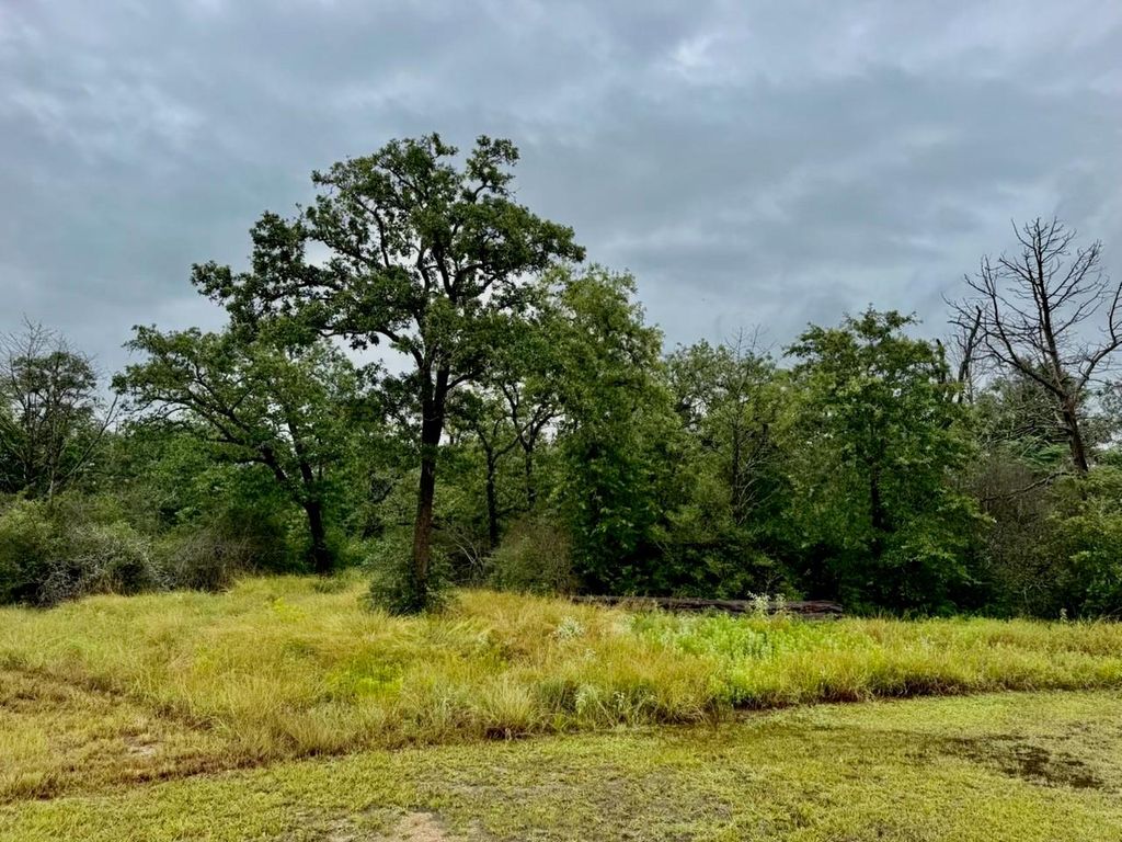 Photo of 195 Sadie Lane, Round Top, TX 78954 (MLS # 30061396)