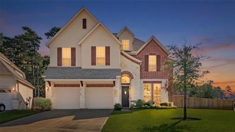 Photo of 33004 Durango Bay Court, Conroe, TX 77385 (MLS # 58018716)