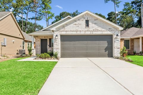 Photo of 22495 Douglas Court, New Caney, TX 77357 (MLS # 45646490)
