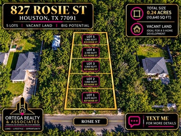 819 Rosie Street Houston TX 77091