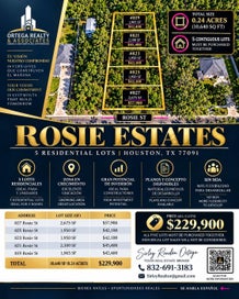 819 Rosie Street Houston TX 77091
