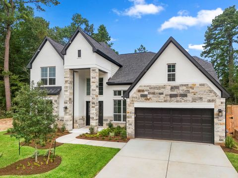 208 Lilac Tree Court Willis TX 77318