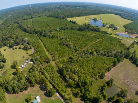 Photo of 0 Lightfoot Road RD, Lufkin, TX 75901 (MLS # 41590549)