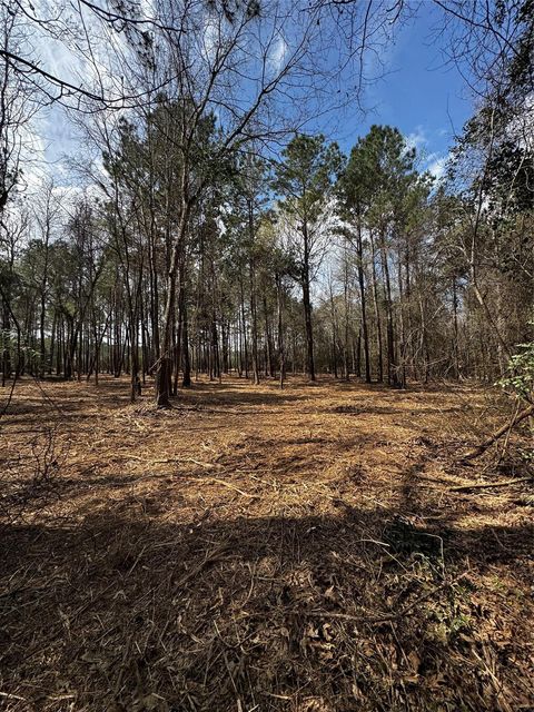 Photo of TBD Old Israel, Livingston, TX 77351 (MLS # 16465320)