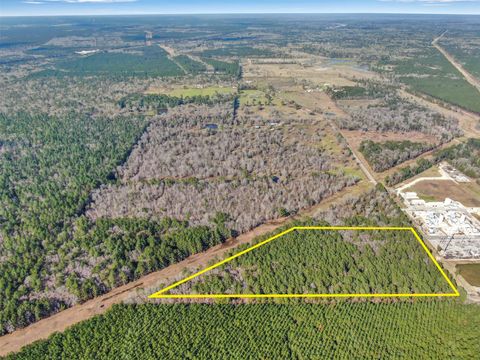 Vacant Land For Sale - 00 Pelican Road<br/> Shepherd, TX 77371