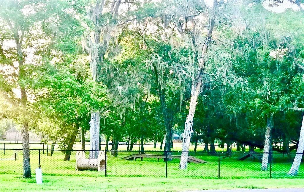 32203 Bayou Bend