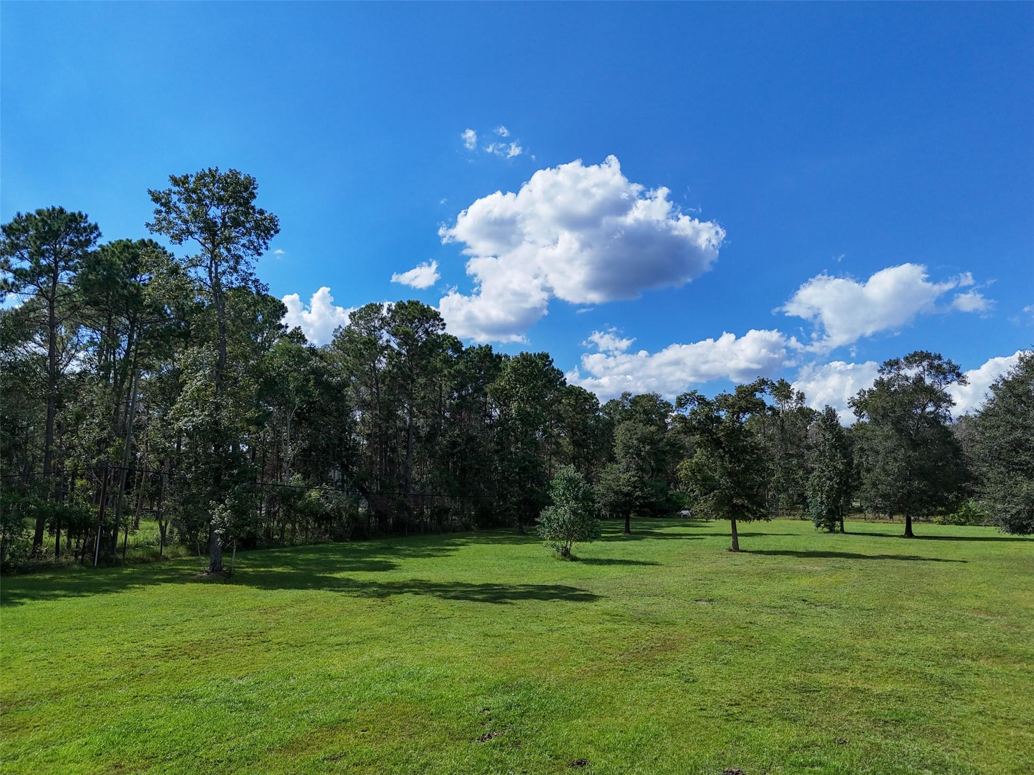 28303 Hardin Store Road