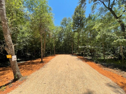 Photo of 269 Cloverdale, Livingston, TX 77351 (MLS # 10158035)