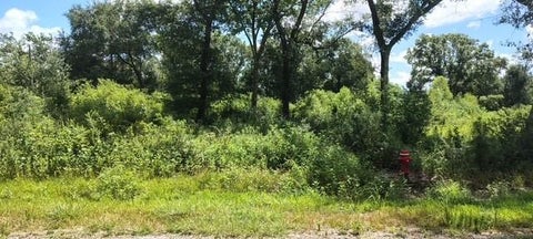 Vacant Land For Sale - 17895 Camellia Drive<br/> Jefferson County, Beaumont, TX 77705