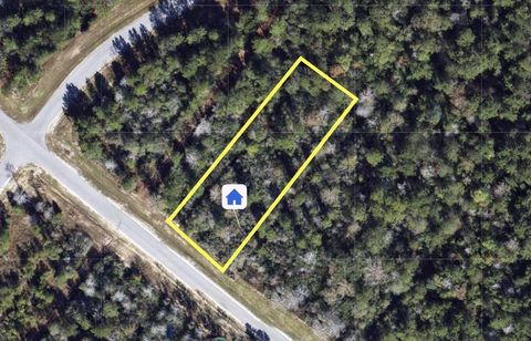 Vacant Land For Sale - 194 Iron Horse Road<br/> New Waverly, TX 77358