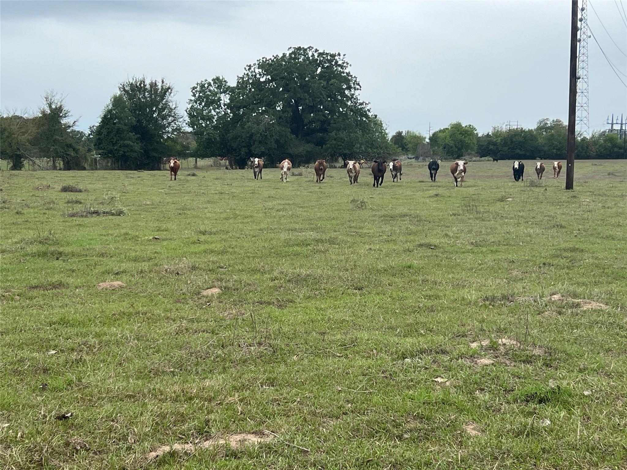 Lot 2 County Road 166