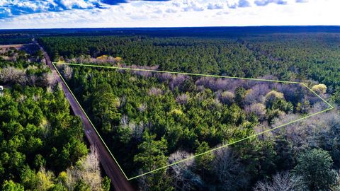Vacant Land For Sale - 000 Holly Grove Road<br/> Polk County, Livingston, TX 77351