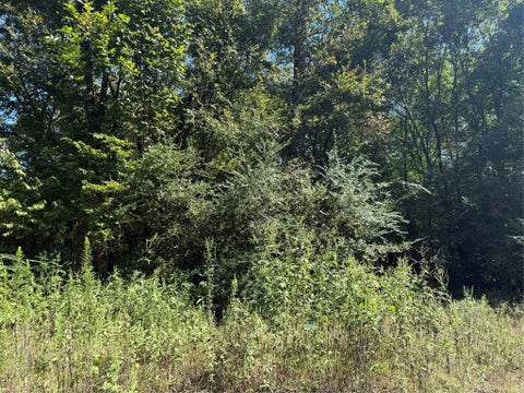 Photo of 0 Fishermans, Huntsville, TX 77320 (MLS # 76324586)
