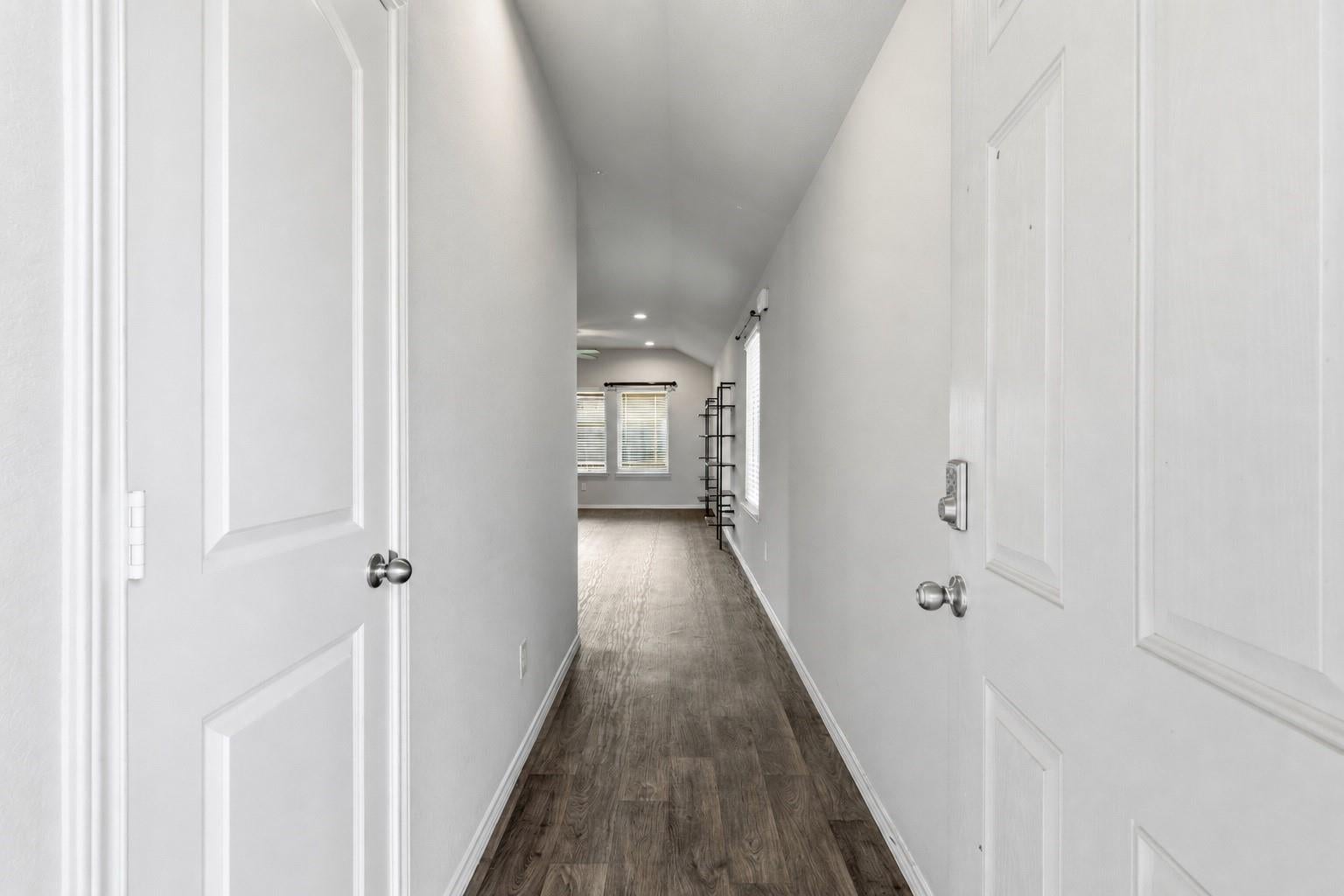 2346 Gold Forsythia Lane