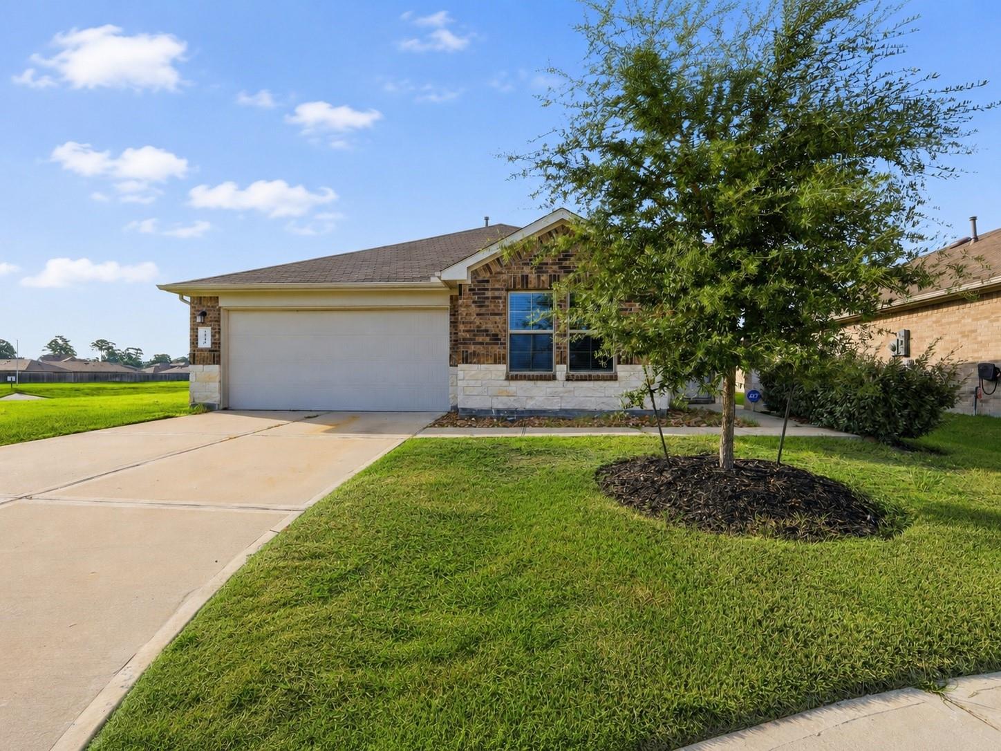 2346 Gold Forsythia Lane