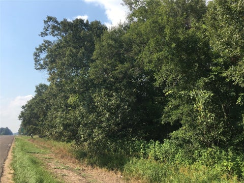 Photo of TBD HWY 321, Cleveland, TX 77327 (MLS # 4798121)