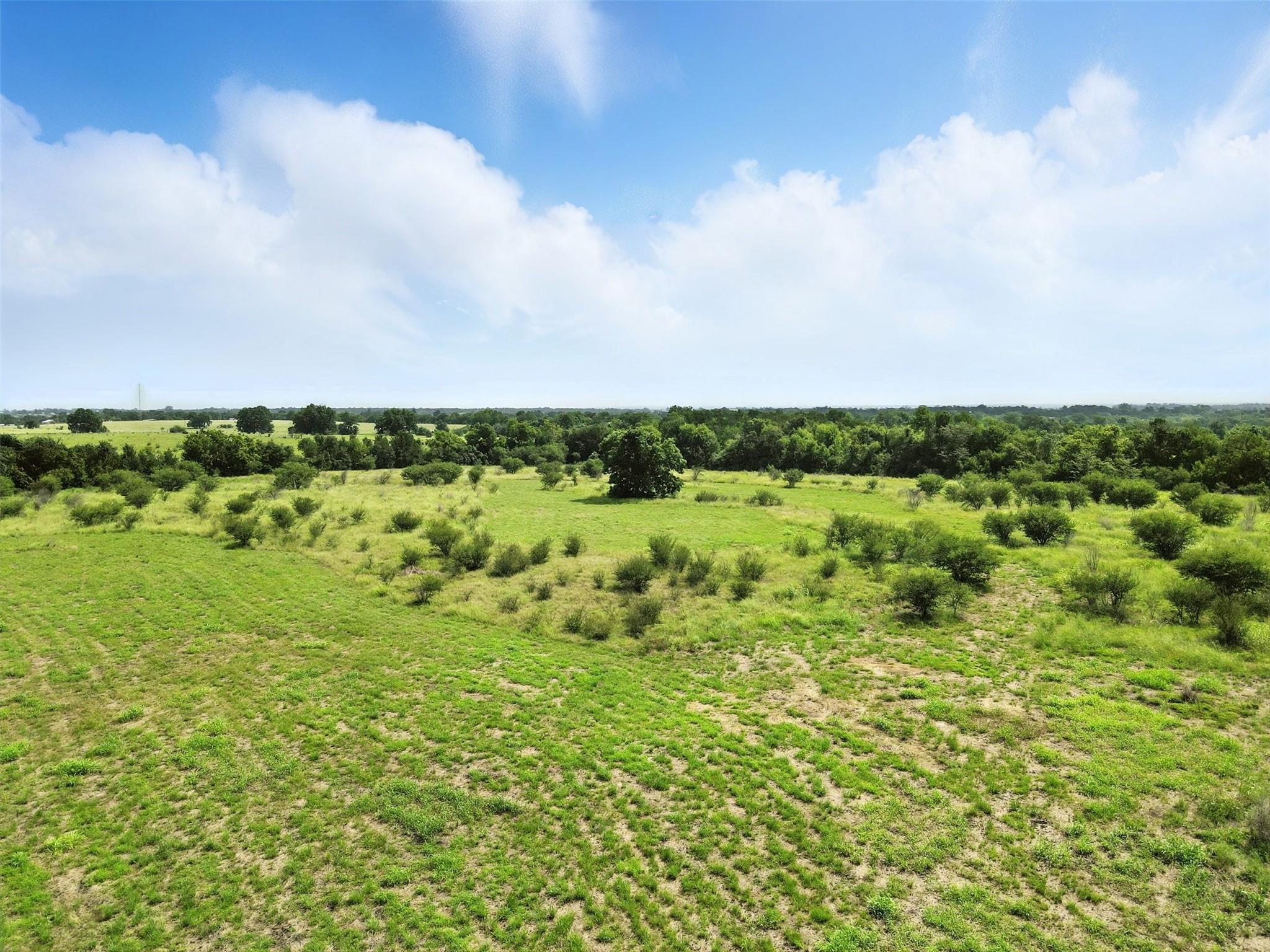 TBD Tract 1 Fm 1155 E